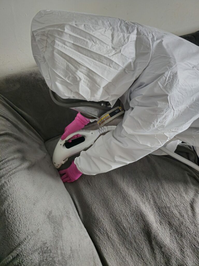Quel est le meilleur insecticide contre les punaises de lit ? Illustration : application professionnelle de biocide avec équipement adapté dans une chambre infestée.